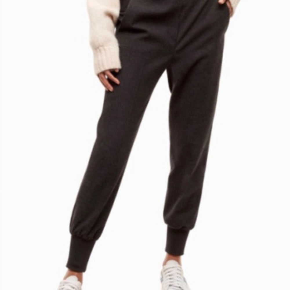 Aritzia jogger